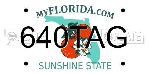 640TAG Florida License Plate
