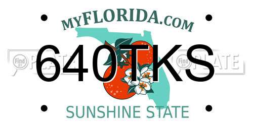 640TKS Florida License Plate