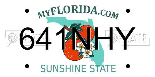 641NHY Florida License Plate