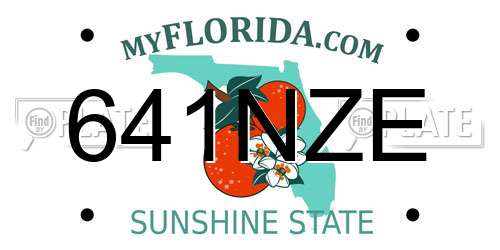 641NZE Florida License Plate