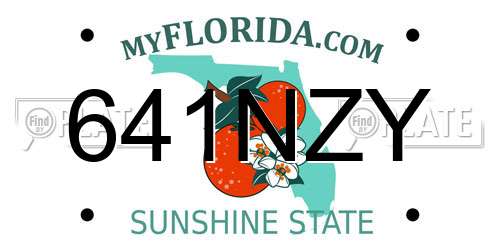 641NZY Florida License Plate
