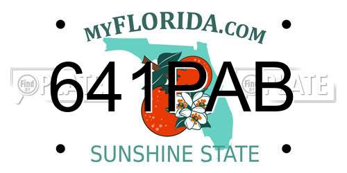 641PAB Florida License Plate