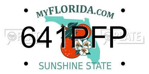 641PFP Florida License Plate