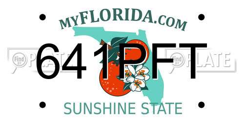 641PFT Florida License Plate