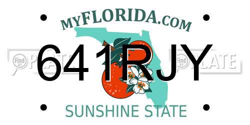641RJY Florida License Plate