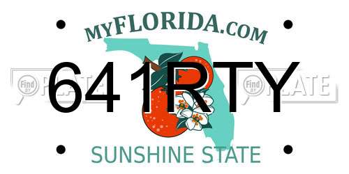641RTY Florida License Plate