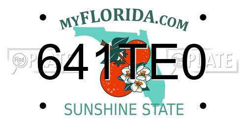 641TE0 Florida License Plate