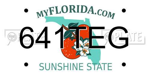641TEG Florida License Plate