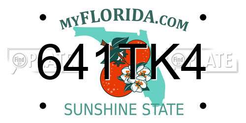 641TK4 Florida License Plate