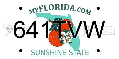 641TVW Florida License Plate