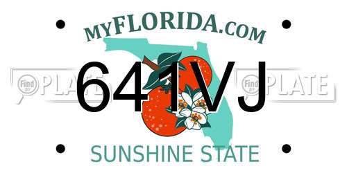 641VJ Florida License Plate