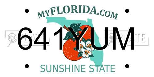 641YUM Florida License Plate