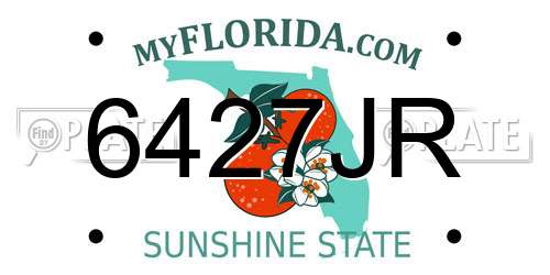 6427JR Florida License Plate