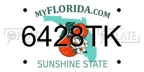 6428TK Florida License Plate