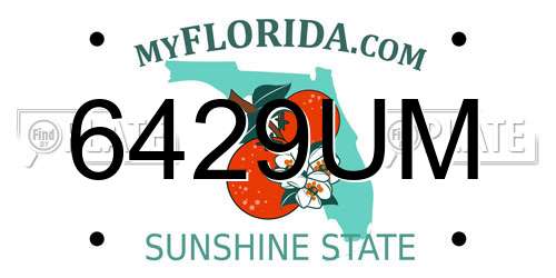 6429UM Florida License Plate