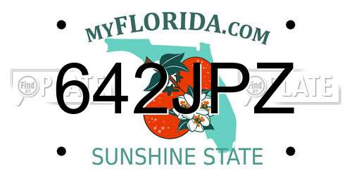 642JPZ Florida License Plate