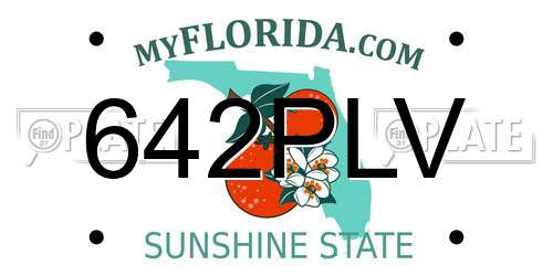 642PLV Florida License Plate