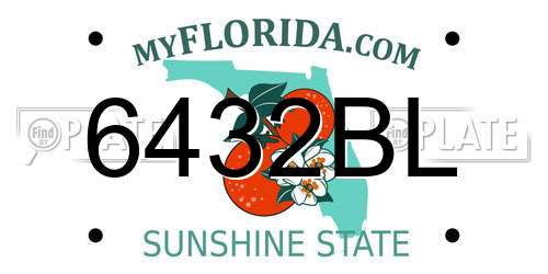 6432BL Florida License Plate