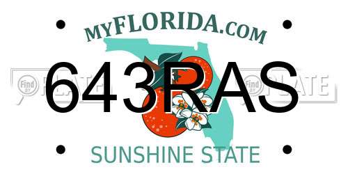 643RAS Florida License Plate
