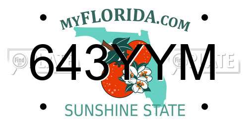 643YYM Florida License Plate