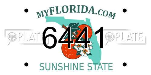 6441 Florida License Plate