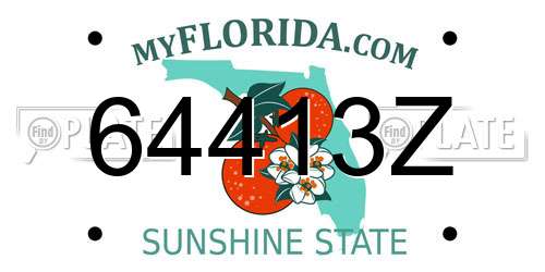 64413Z Florida License Plate