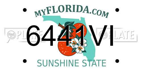 6441VI Florida License Plate