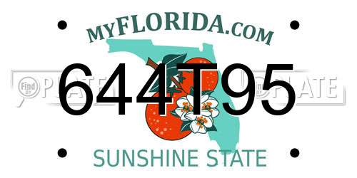 644T95 Florida License Plate