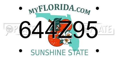 644Z95 Florida License Plate
