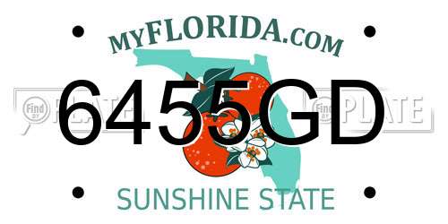 6455GD Florida License Plate