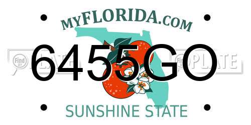 6455GO Florida License Plate