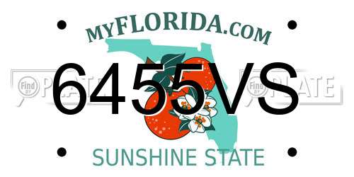 6455VS Florida License Plate