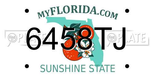 6458TJ Florida License Plate