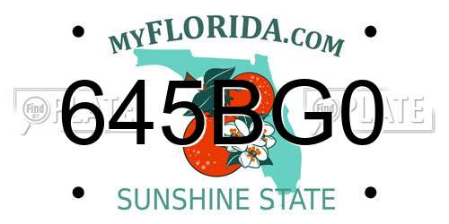 645BG0 Florida License Plate