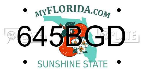 645BGD Florida License Plate