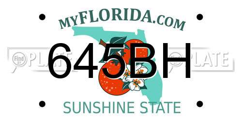 645BH Florida License Plate