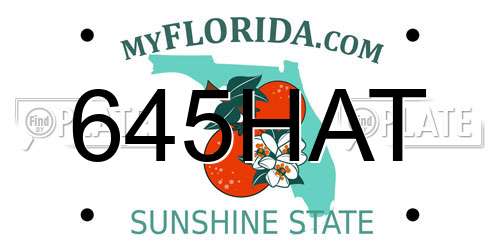 645HAT Florida License Plate