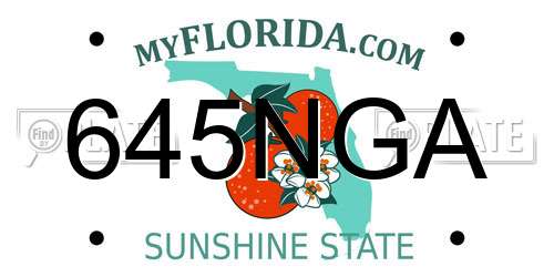 645NGA Florida License Plate