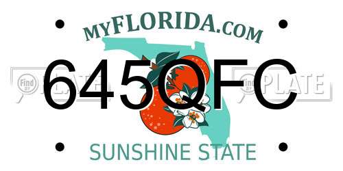 645QFC Florida License Plate