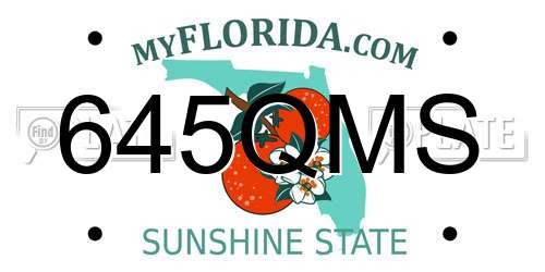 645QMS Florida License Plate