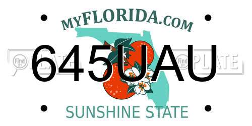 645UAU Florida License Plate