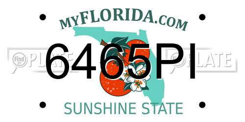 6465PI Florida License Plate