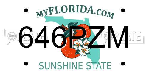 646PZM Florida License Plate