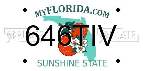 646TIV Florida License Plate