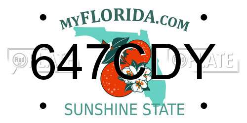 647CDY Florida License Plate