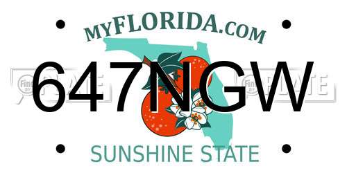 647NGW Florida License Plate