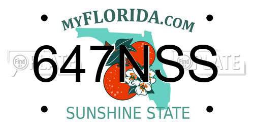 647NSS Florida License Plate