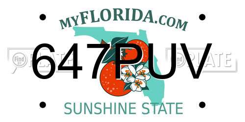 647PUV Florida License Plate