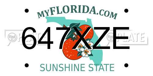 647XZE Florida License Plate
