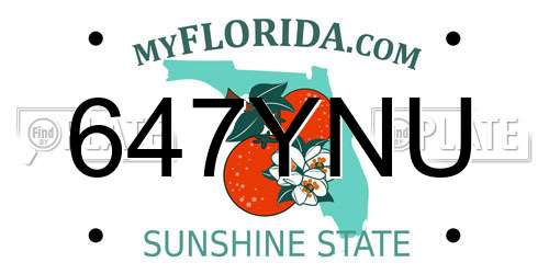 647YNU Florida License Plate